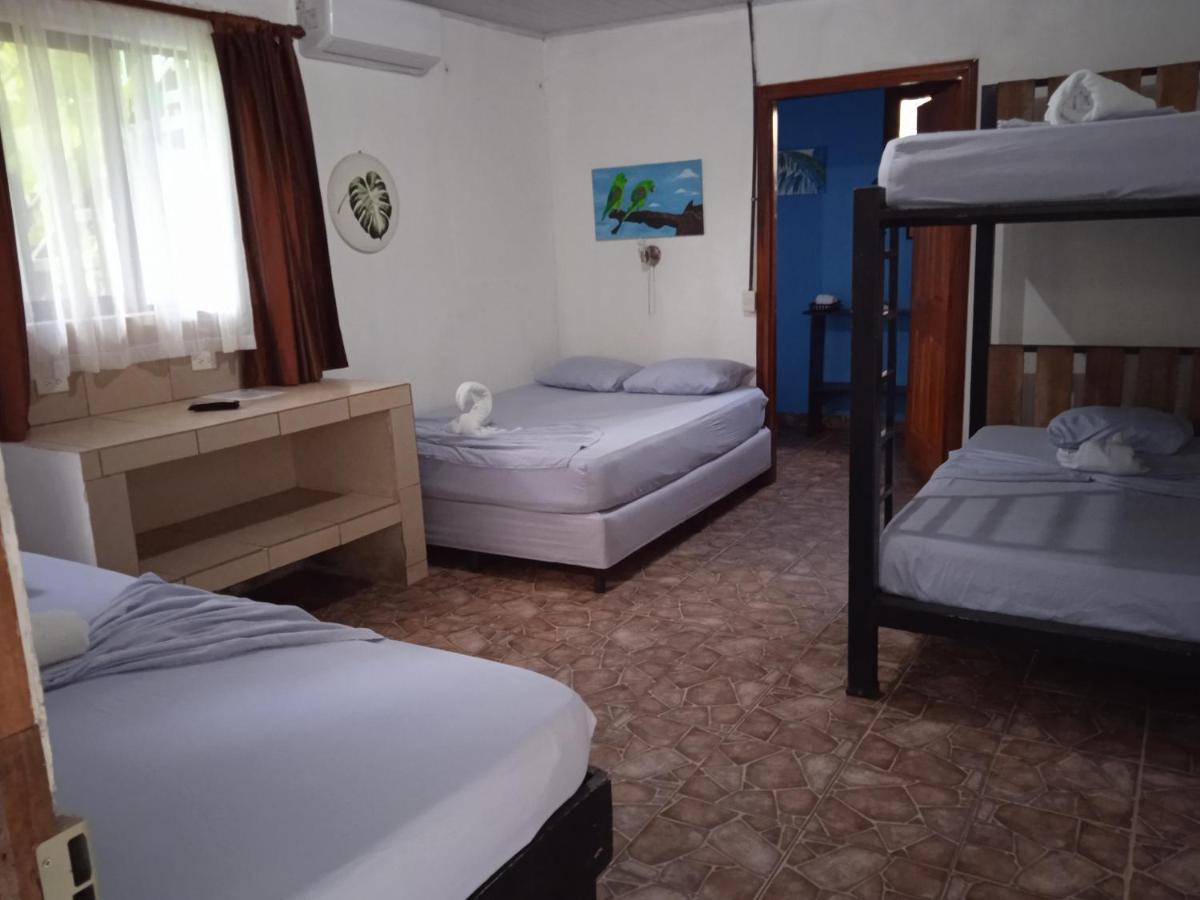 Hotel La Casona De Tortuguero Zewnętrze zdjęcie