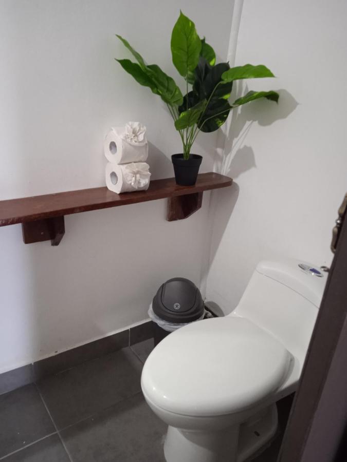 Hotel La Casona De Tortuguero Zewnętrze zdjęcie