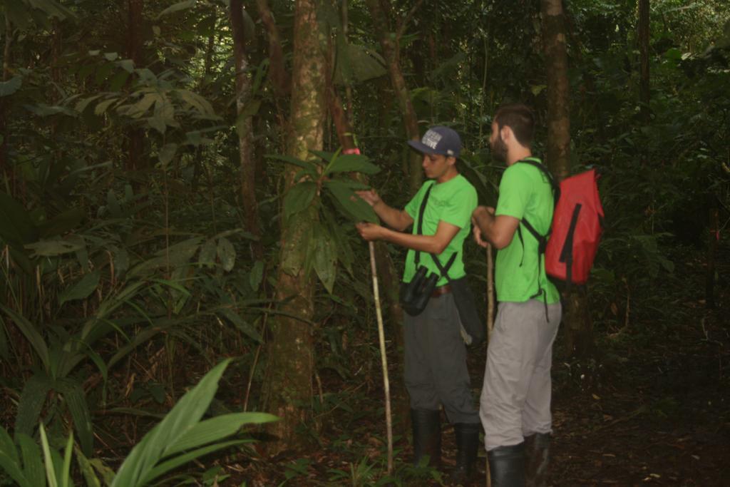 Hotel La Casona De Tortuguero Zewnętrze zdjęcie