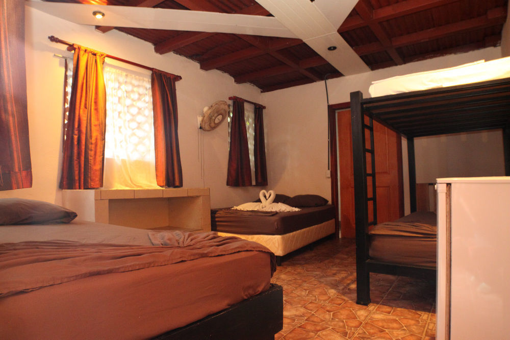 Hotel La Casona De Tortuguero Zewnętrze zdjęcie