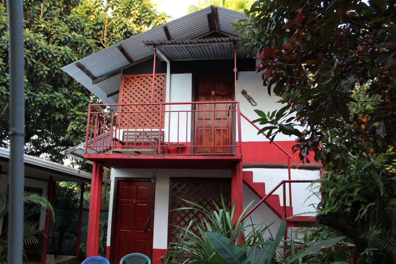 Hotel La Casona De Tortuguero Zewnętrze zdjęcie
