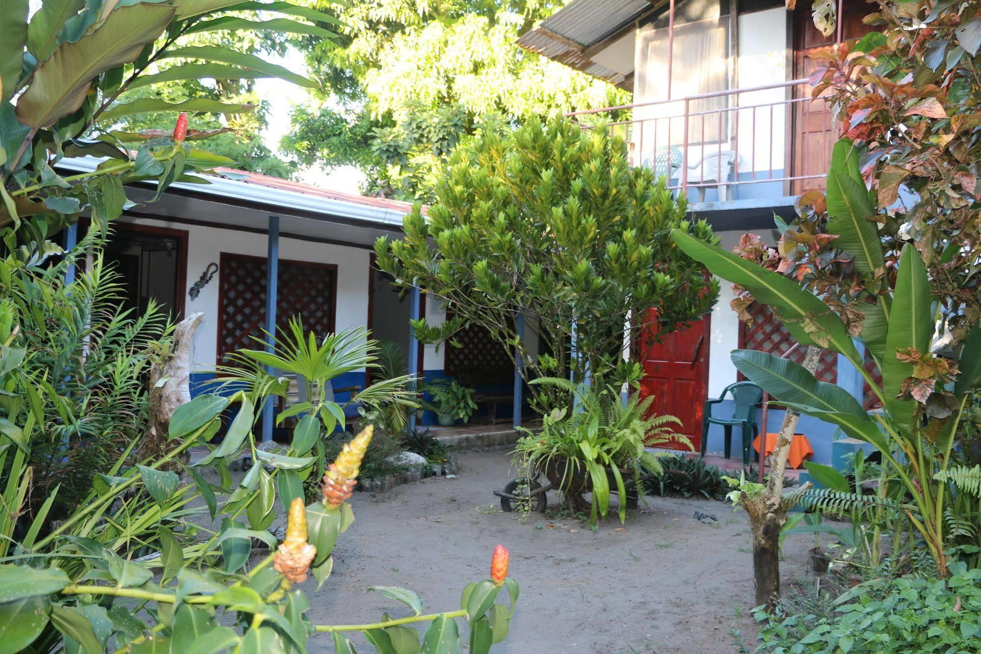 Hotel La Casona De Tortuguero Zewnętrze zdjęcie