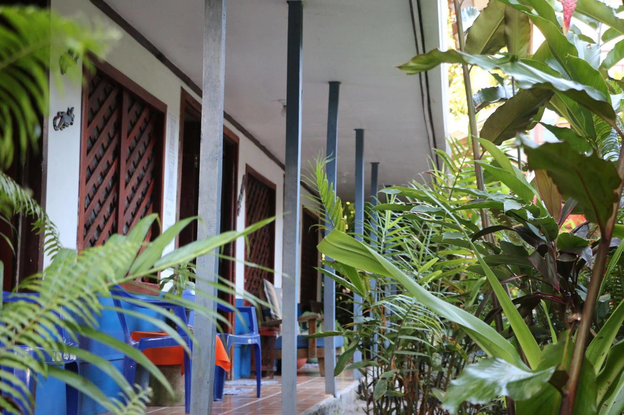 Hotel La Casona De Tortuguero Zewnętrze zdjęcie