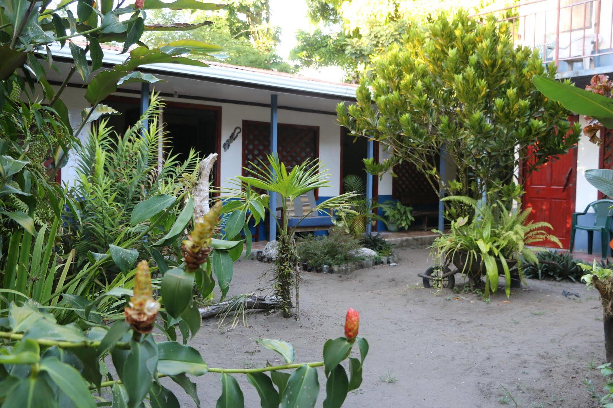 Hotel La Casona De Tortuguero Zewnętrze zdjęcie