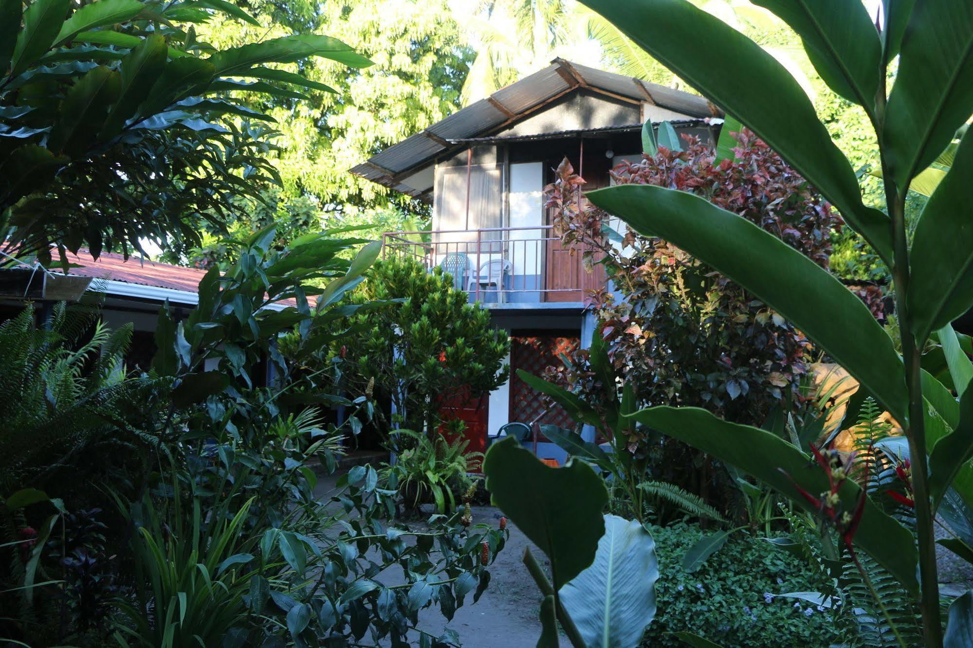 Hotel La Casona De Tortuguero Zewnętrze zdjęcie