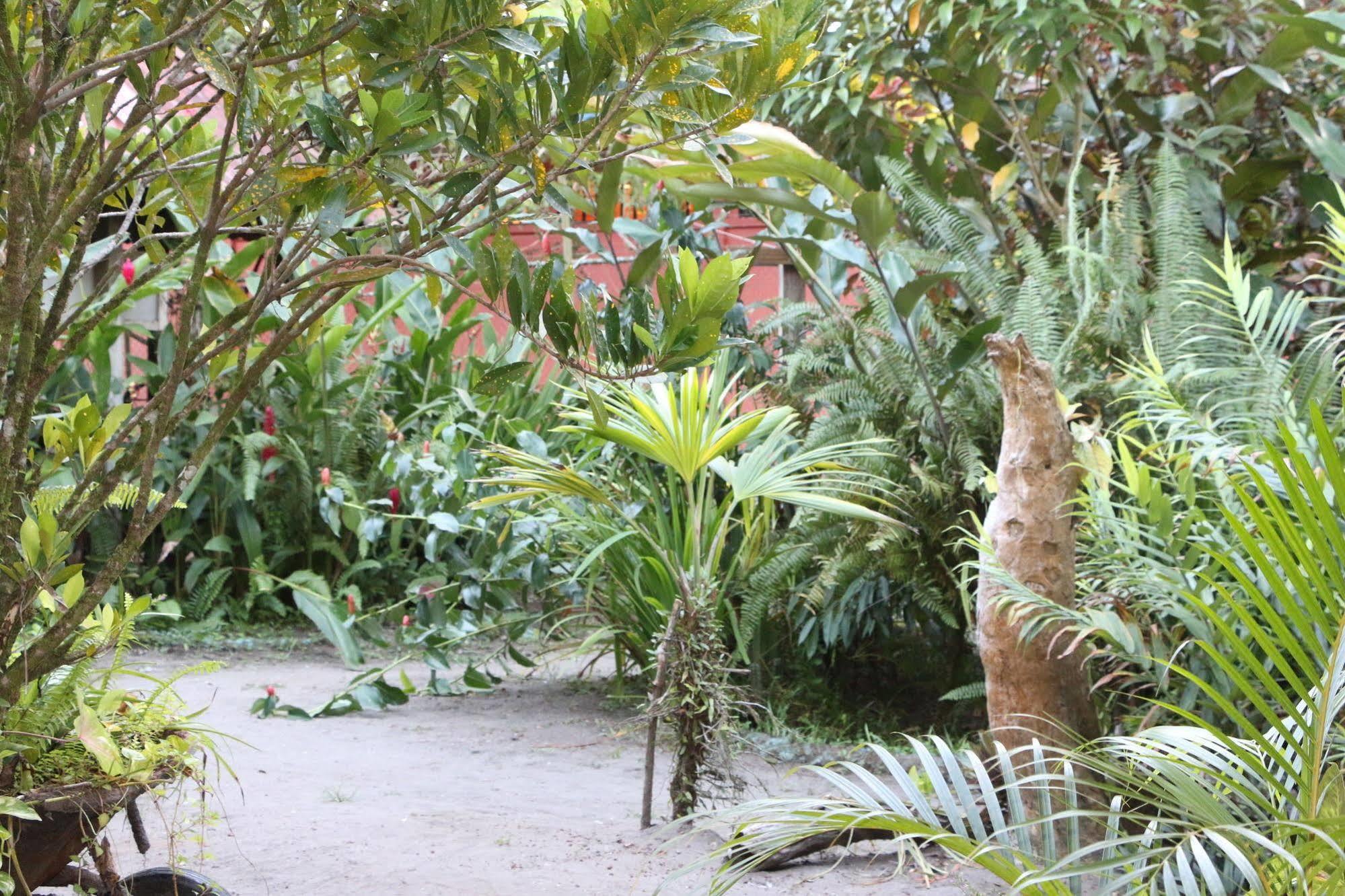 Hotel La Casona De Tortuguero Zewnętrze zdjęcie