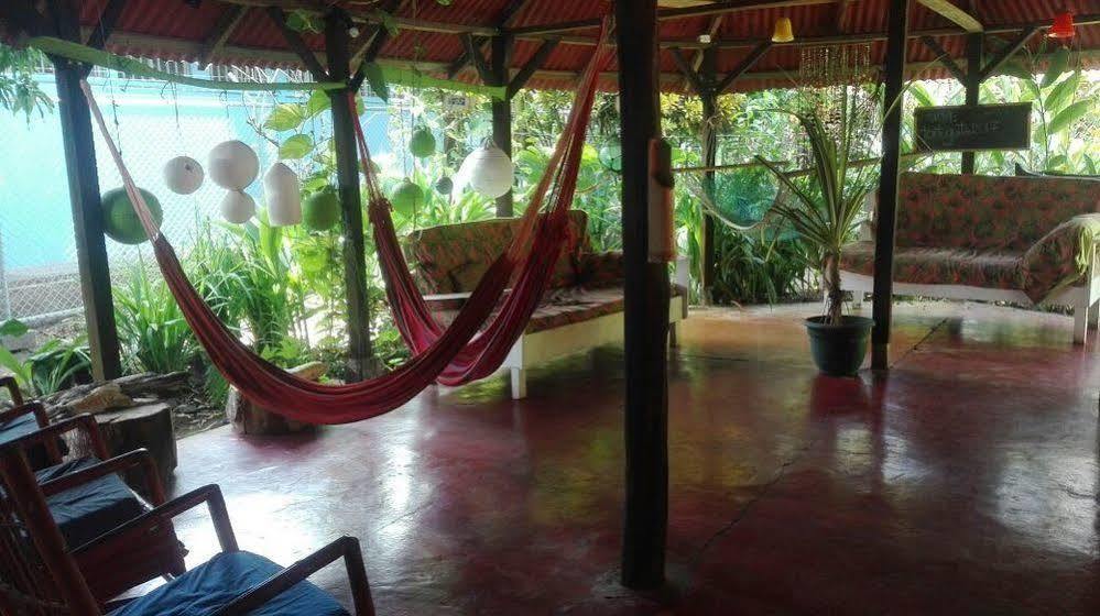 Hotel La Casona De Tortuguero Zewnętrze zdjęcie