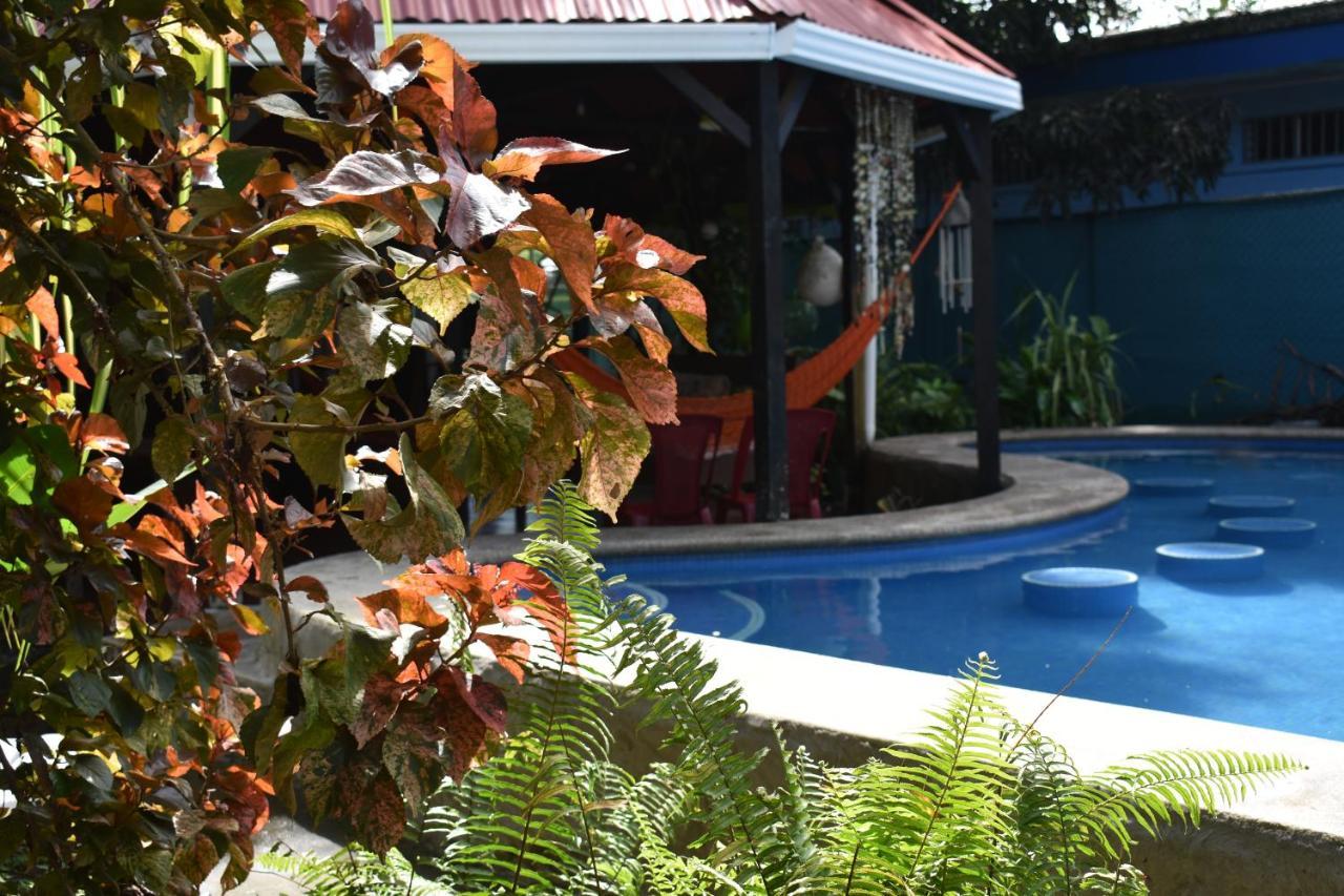 Hotel La Casona De Tortuguero Zewnętrze zdjęcie